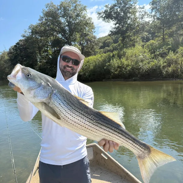 Man holding large fish