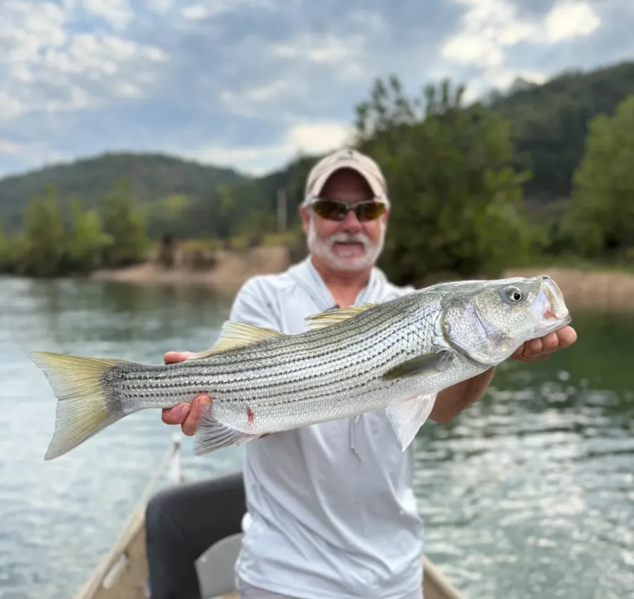 Man holding large fish