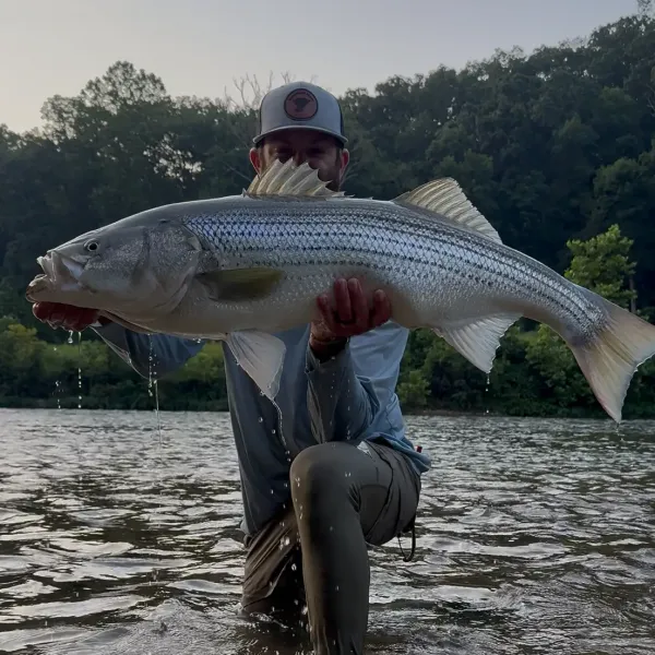 Man holding large fish